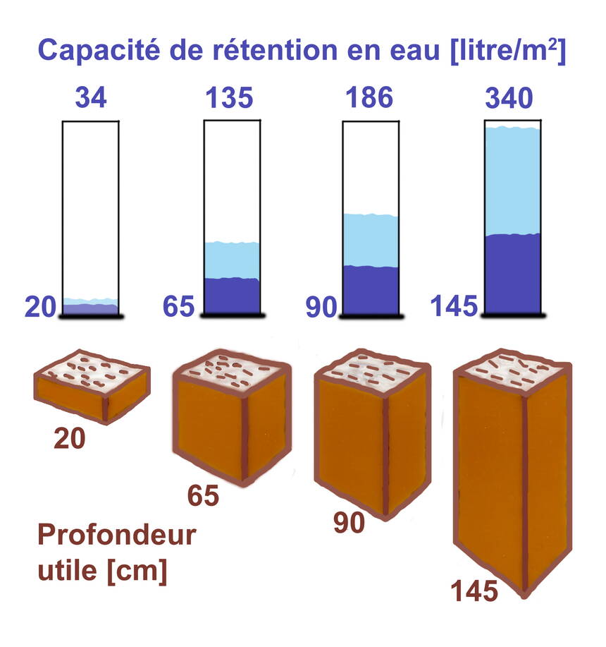 capacite_de_retention_en_eau.jpg